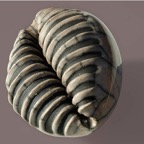 agnes_cartairade-sculpteur_céramiste_raku-2013.02.jpg