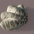 agnes_cartairade-sculpteur_céramiste_raku-2013.04.jpg