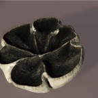 agnes_cartairade-sculpteur_céramiste_raku-2013.07.jpg